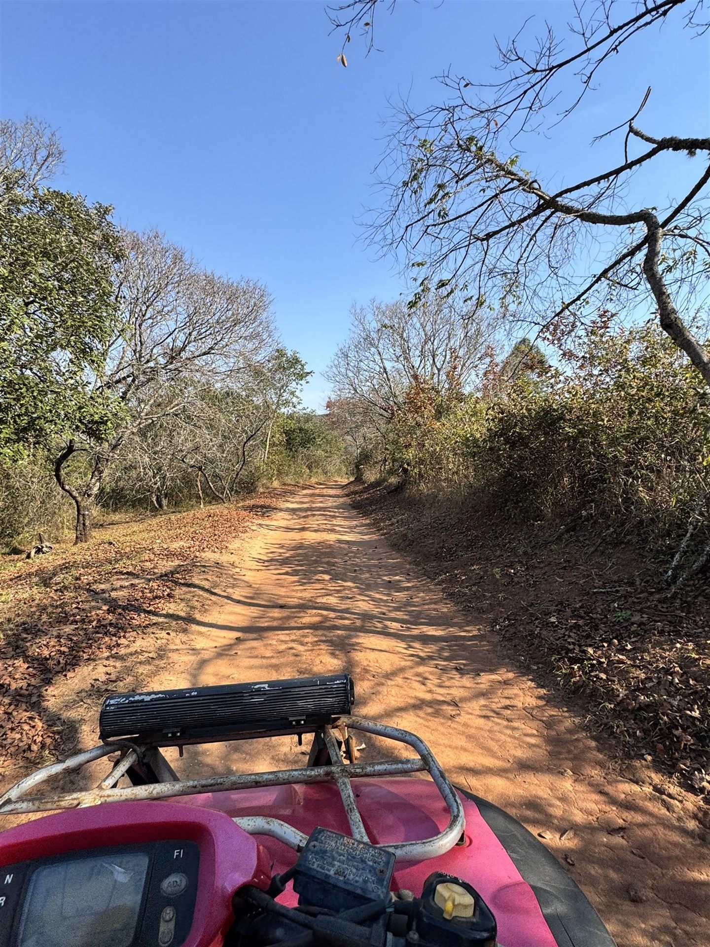 Wooded approach road to JW Shooting Range